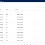 CRM Case List View