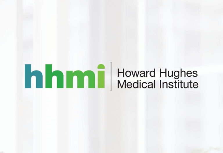 Howard Hughes Medical Institute Intranet Design