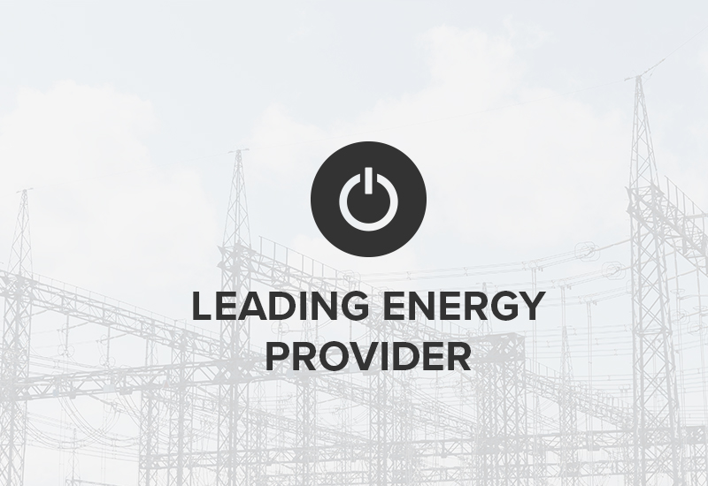 Leading Energy Provider