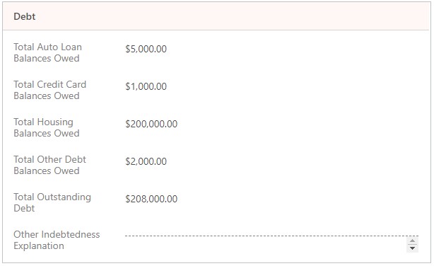 Screenshot of debt output