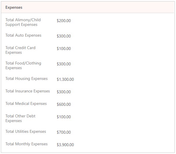 Screenshot of expense output