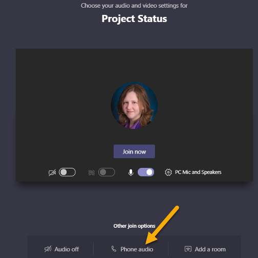 Mute or Blur Your Background in Microsoft Teams App