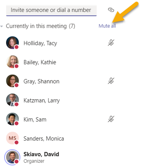 Mute People in Microsoft Teams or Mute All