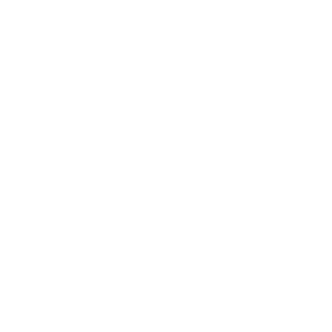 Snowflake Partner