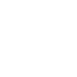 Scale Icon