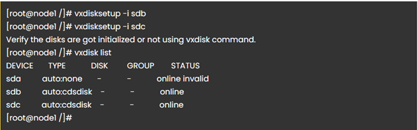 Vxdisk setup command