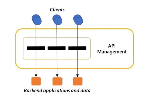 API Management