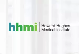 Howard Hughes Medical Institute Intranet Design