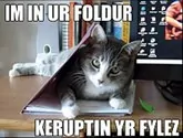 In ur folder