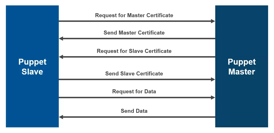How Puppet Works